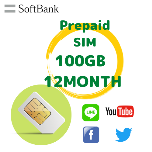 Prepaid SIM data 100GB plan 12months – Espas.com